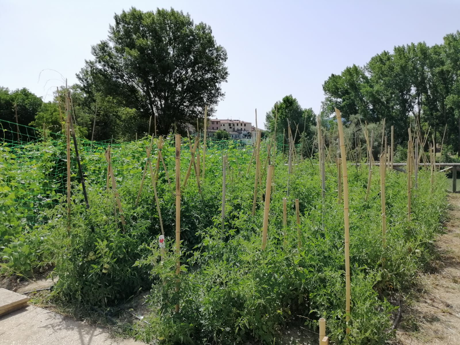 Anniversario Serra 5