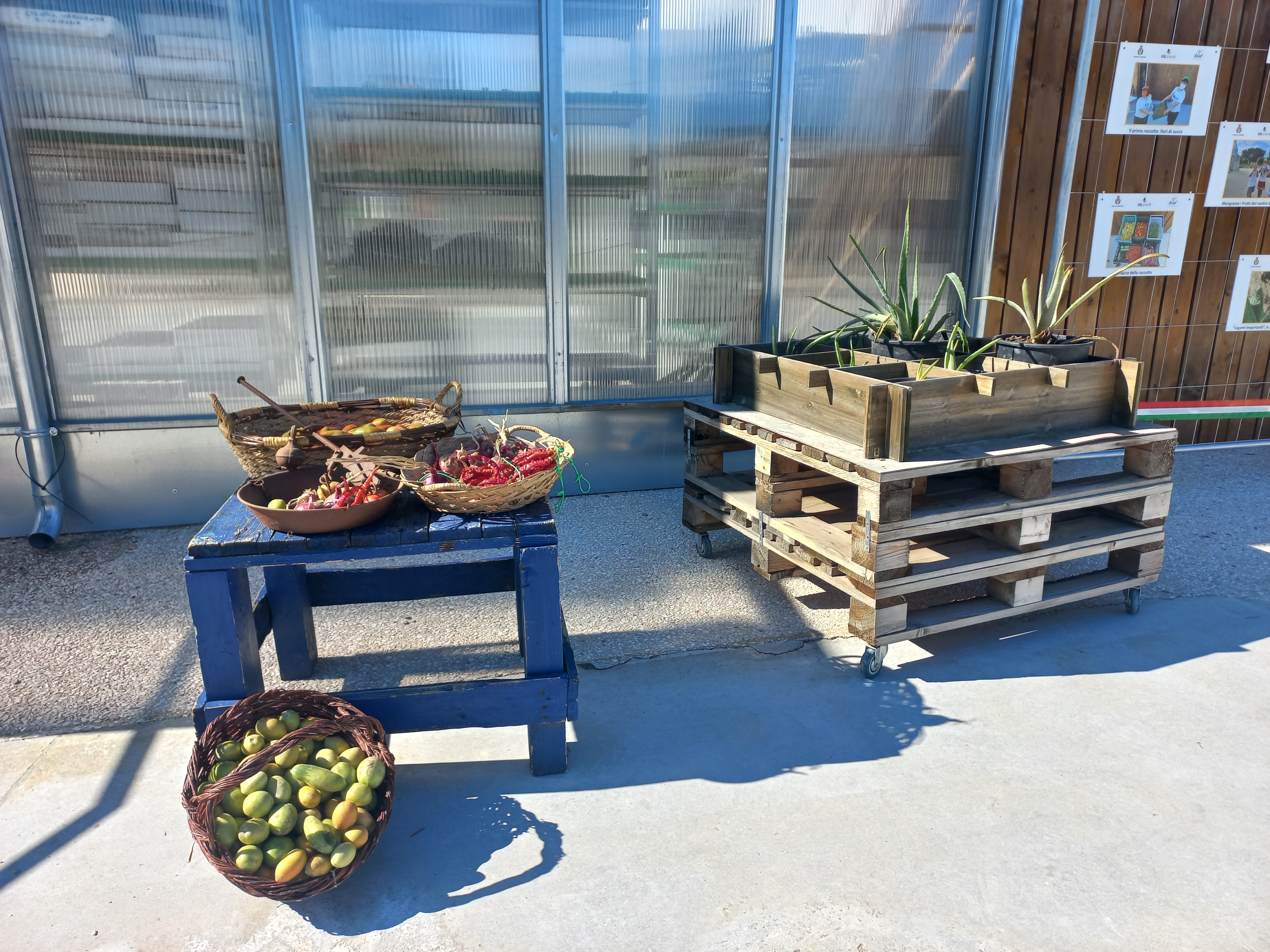 evento serra disabili 3