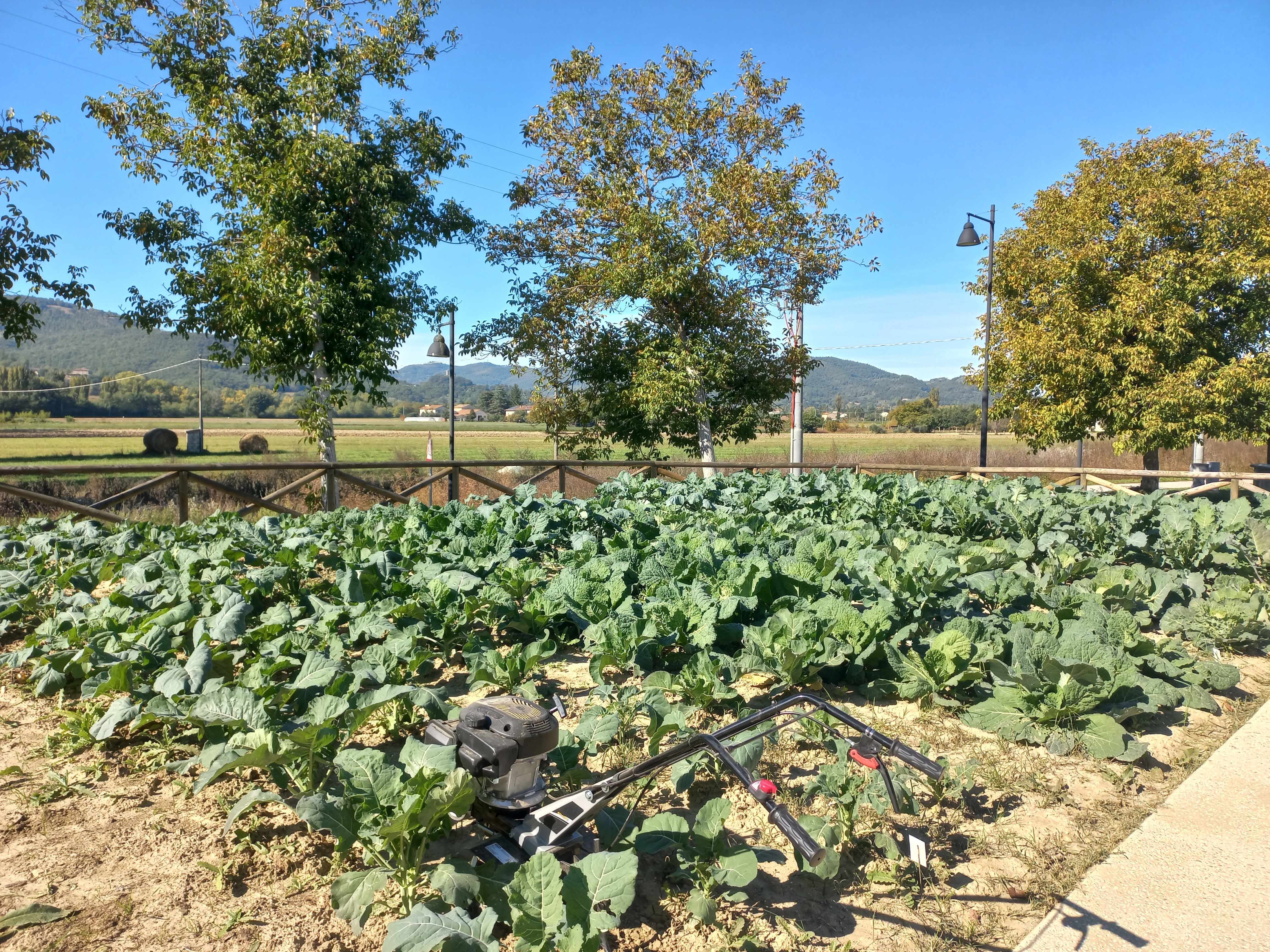 Evento serra disabili 2