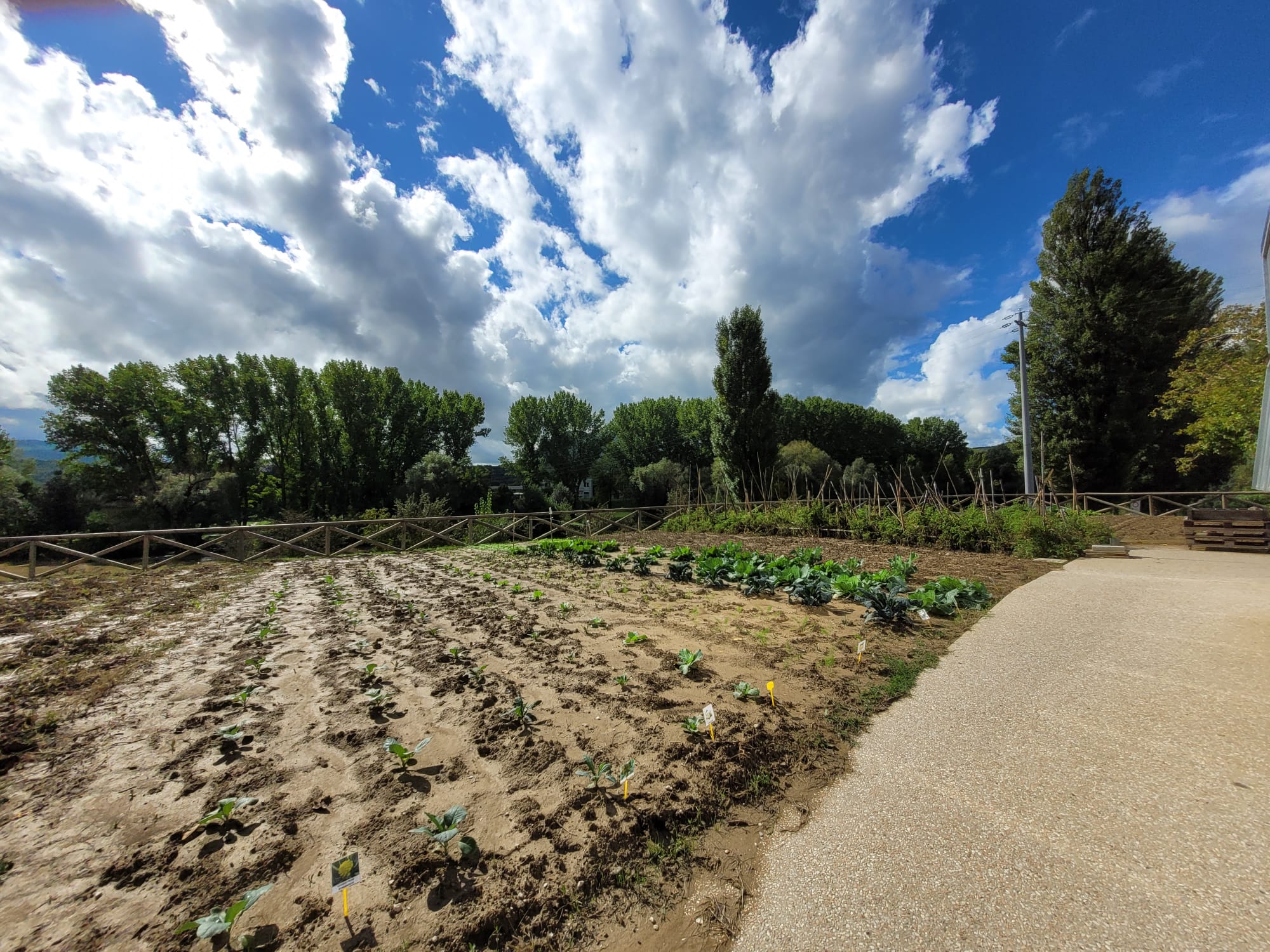 Giornata europea delle Fondazioni 2022_Fondazione Perugia  (5)