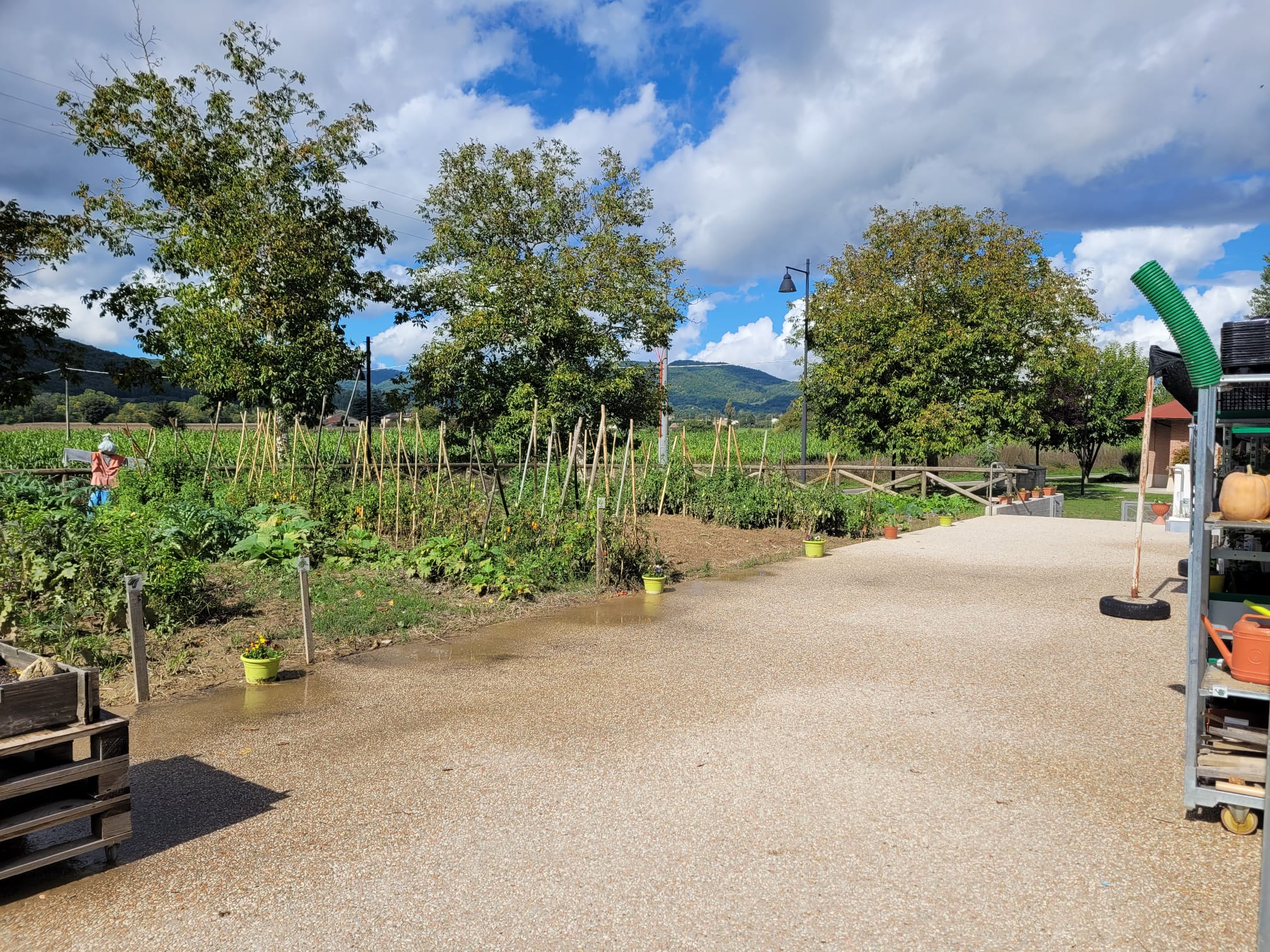 Giornata europea delle Fondazioni 2022_Fondazione Perugia  (7)