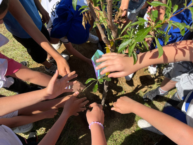 Le scuole Senza Zaino dell'Infanzia di Calzolaro e Primaria Anna Frank di Verna hanno promosso l'evento “Radici in dono alla comunità”