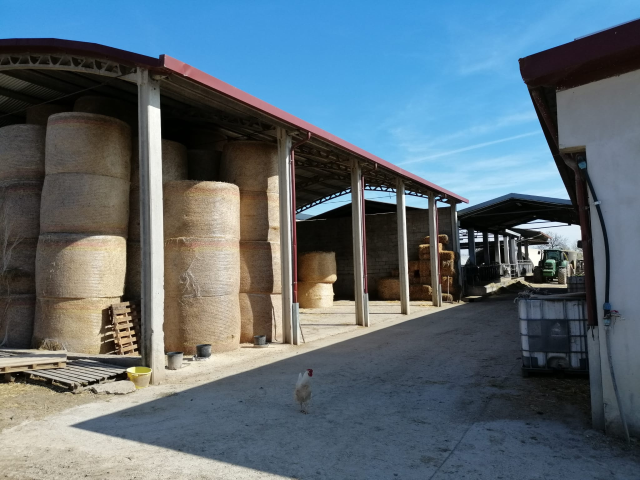 Visita dell'Assessore all'Agricoltura della Regione Umbria alla Società Agricola Pauselli