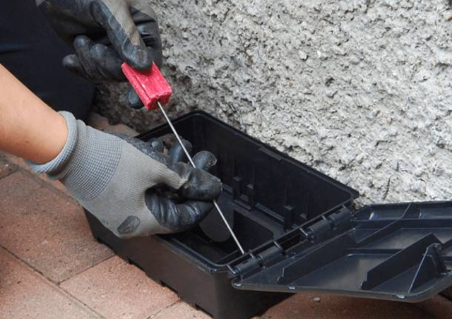 Iniziato l'intervento periodico di derattizzazione 