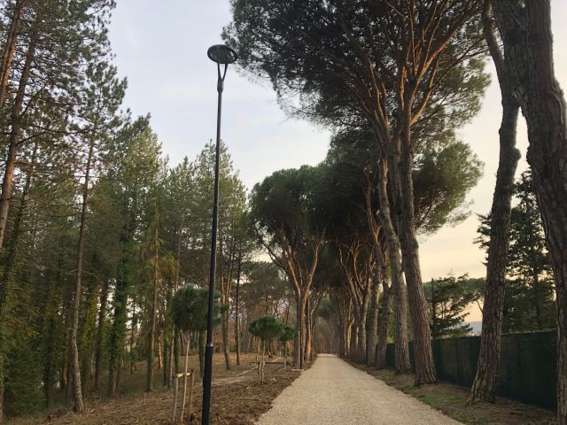 Pineta Ranieri, arrivano 23 lampioni per la fruizione in tutta sicurezza dell'area verde anche nelle ore serali