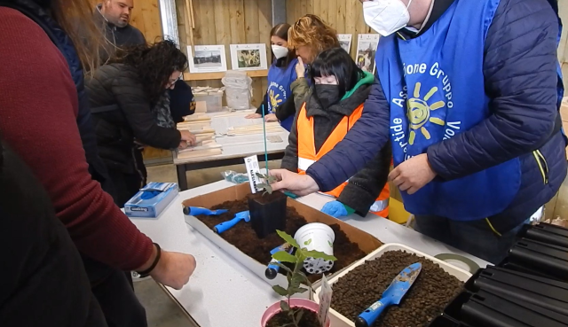 Prosegue il progetto “Nati insieme”, gli alberi del futuro con il nome delle bambine e dei bambini umbertidesi cresceranno per i prossimi due anni presso la Serra “Orti Felici”