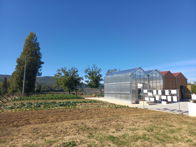 “Nati insieme”: ad Umbertide la cura per i più piccoli cresce insieme al territorio