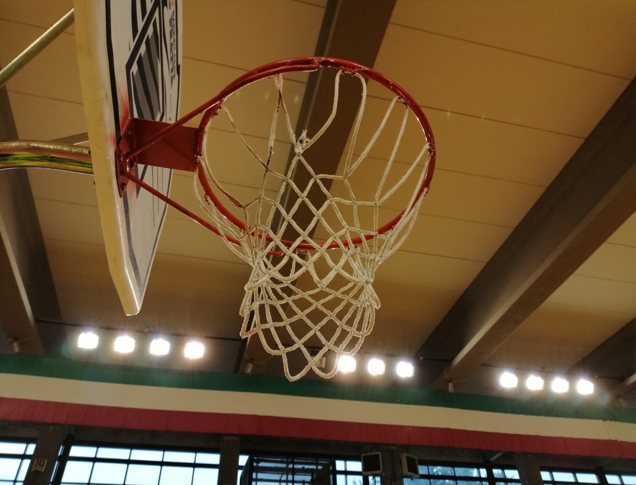 9bec6dff-e3c7-4c04-9363-9cc305a89aad