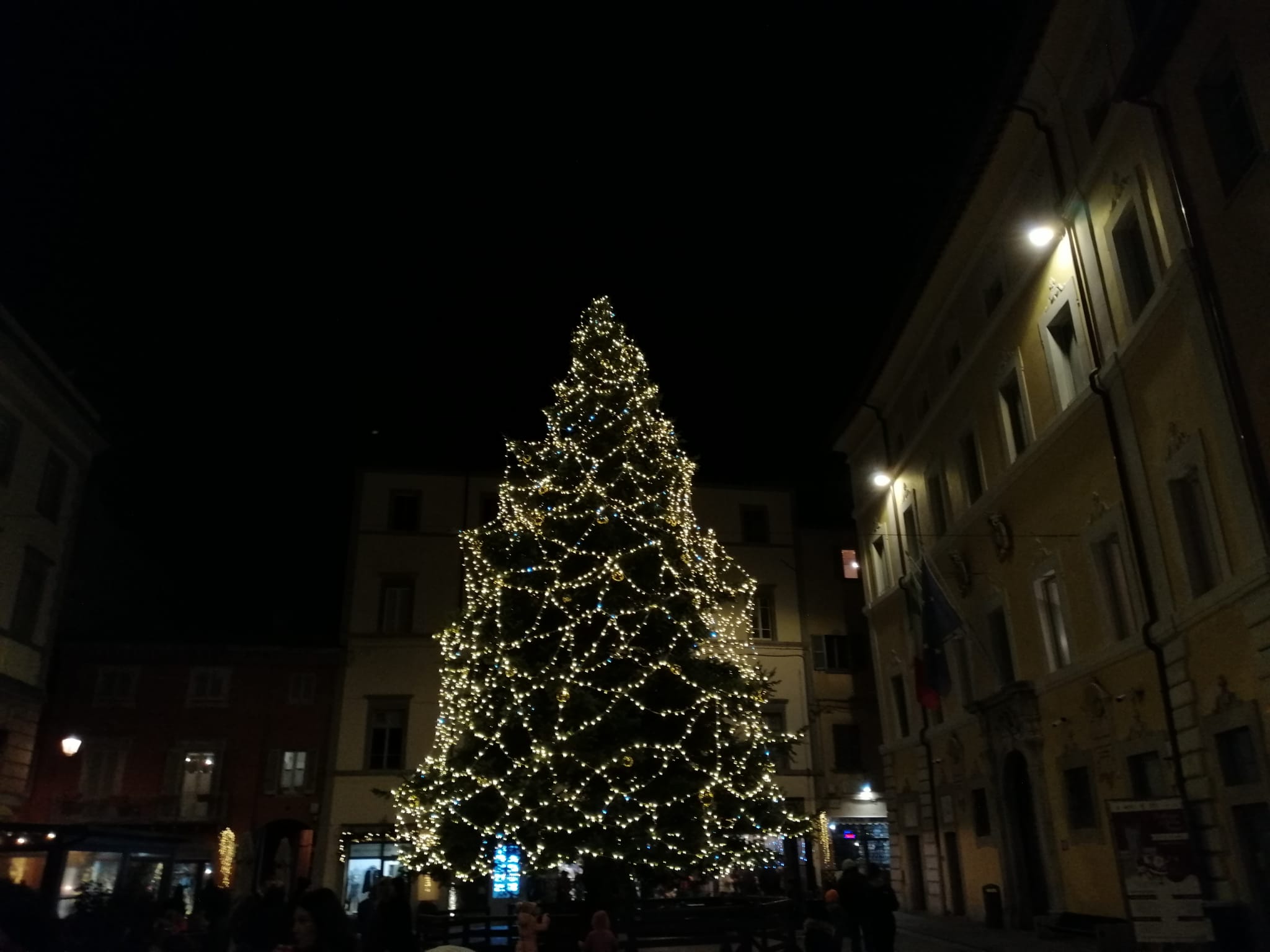 Albero Natale 2023 - img