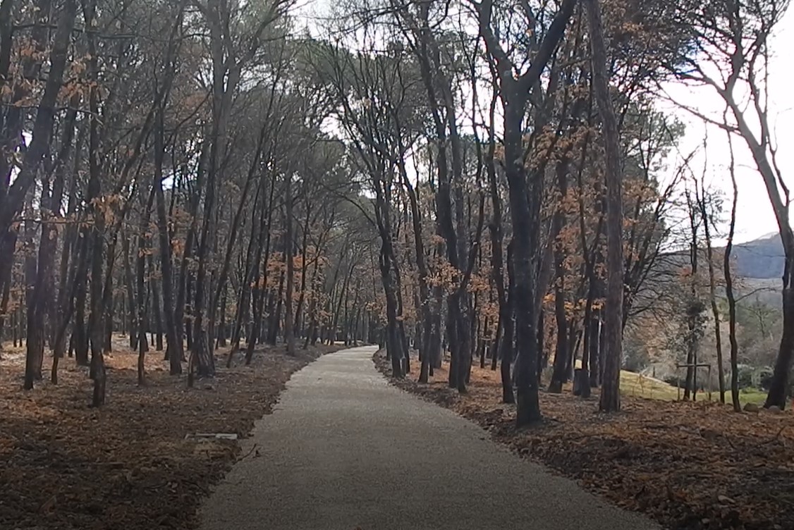 Pineta Ranieri e Bosco del Macchione, procedono i lavori