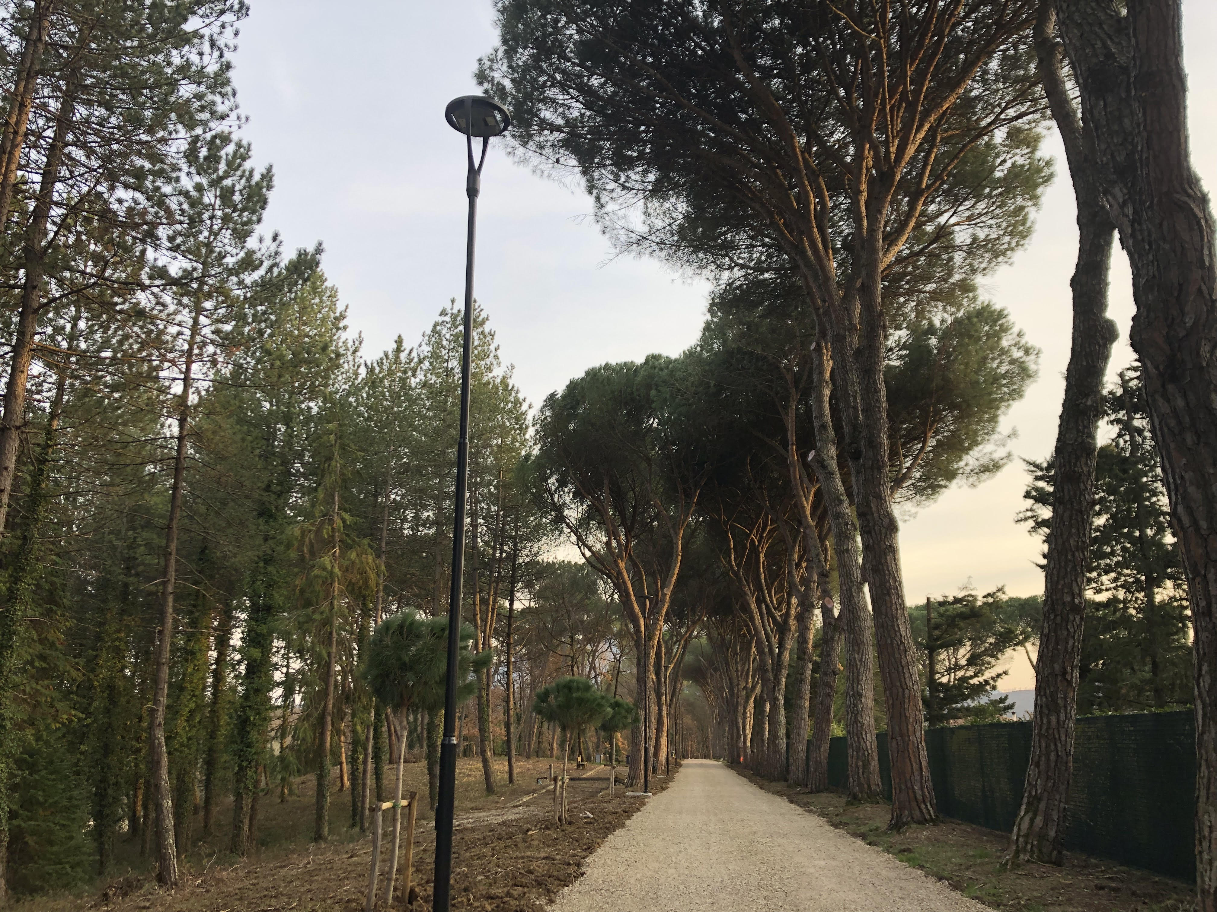 Pineta Ranieri, arrivano 23 lampioni per la fruizione in tutta sicurezza dell'area verde anche nelle ore serali