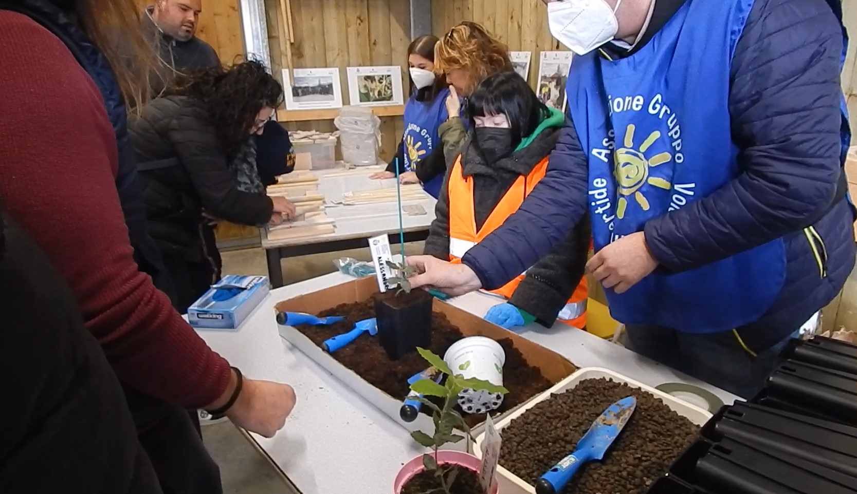 Prosegue il progetto “Nati insieme”, gli alberi del futuro con il nome delle bambine e dei bambini umbertidesi cresceranno per i prossimi due anni presso la Serra “Orti Felici”