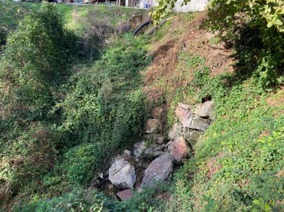 Screenshot_21-1-2025_10528_