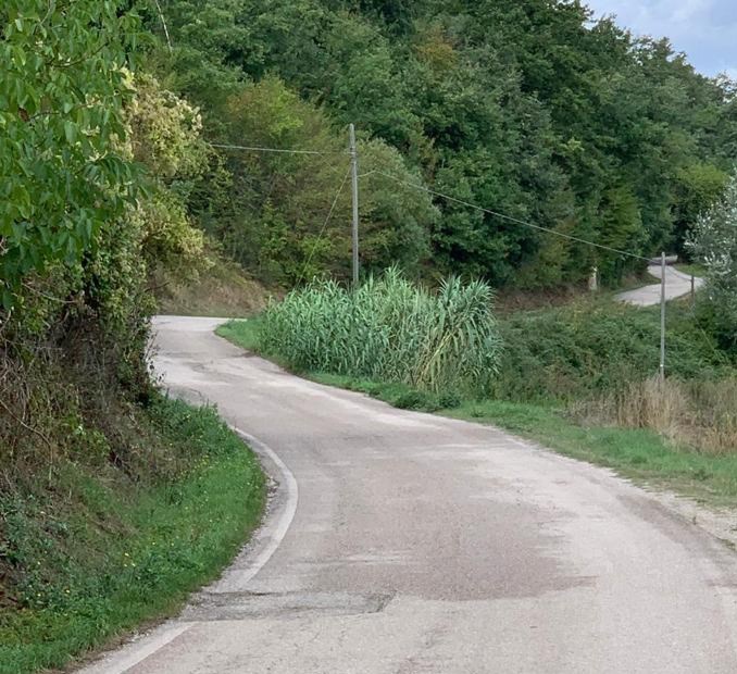 Strada del Sasseto, pronti 120mila euro per lavori di manutenzione