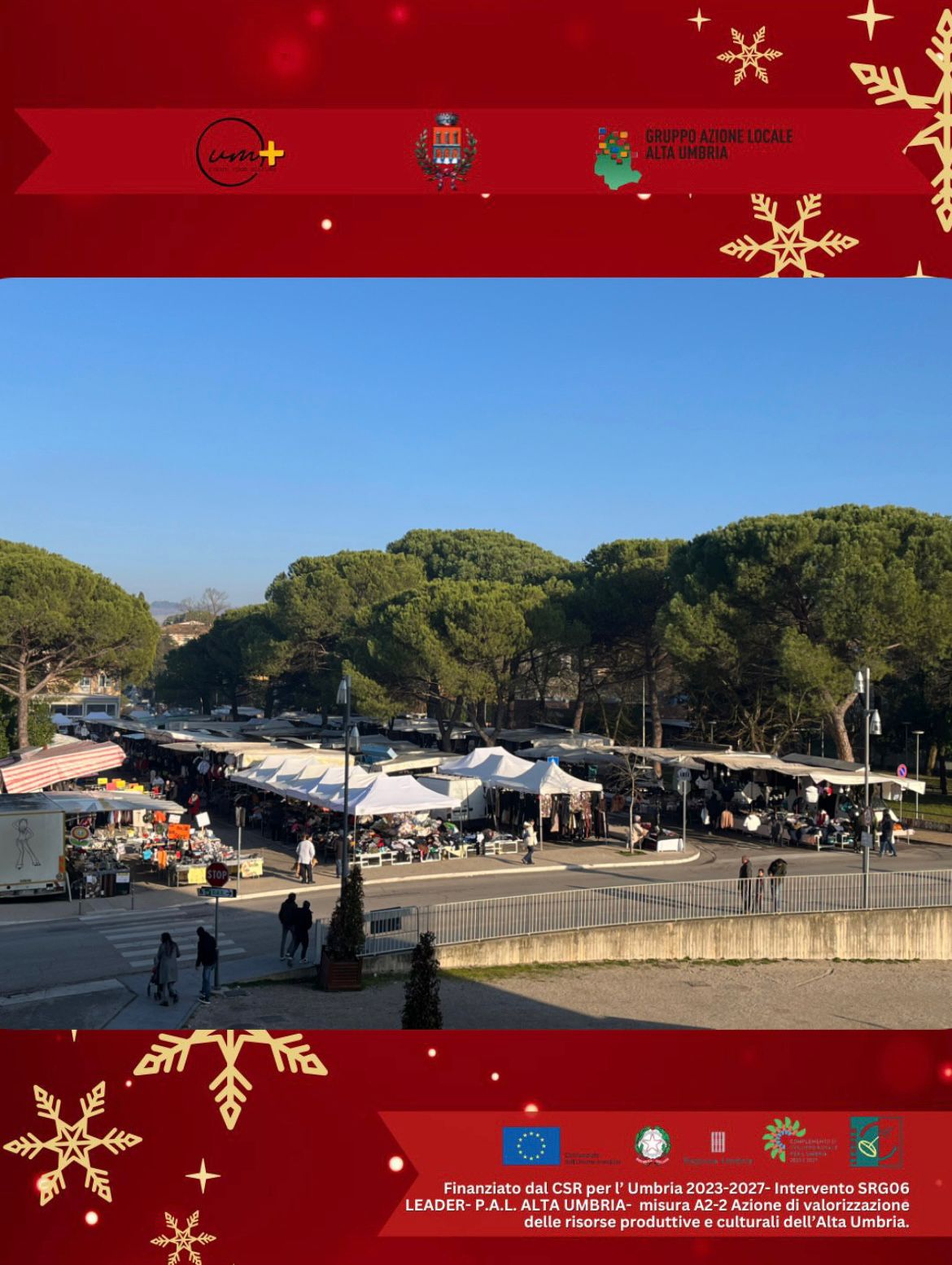 WhatsApp Image 2025-12-14 at 16.07.10 (1)