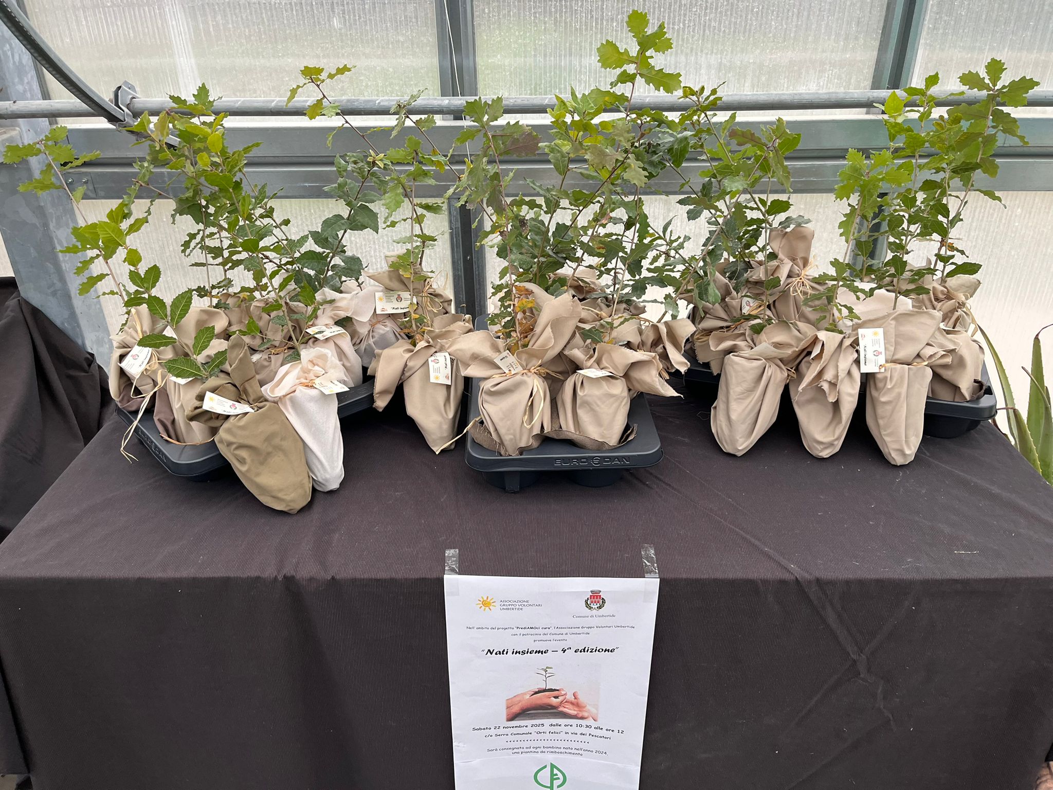 WhatsApp Image 2025-11-22 at 12.58.39