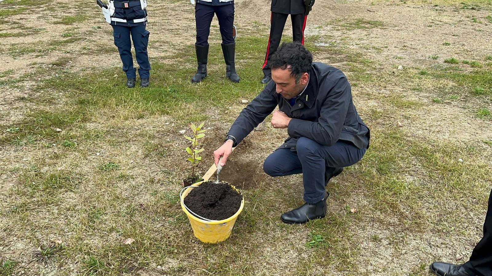 WhatsApp Image 2025-11-20 at 18.48.38 (1)