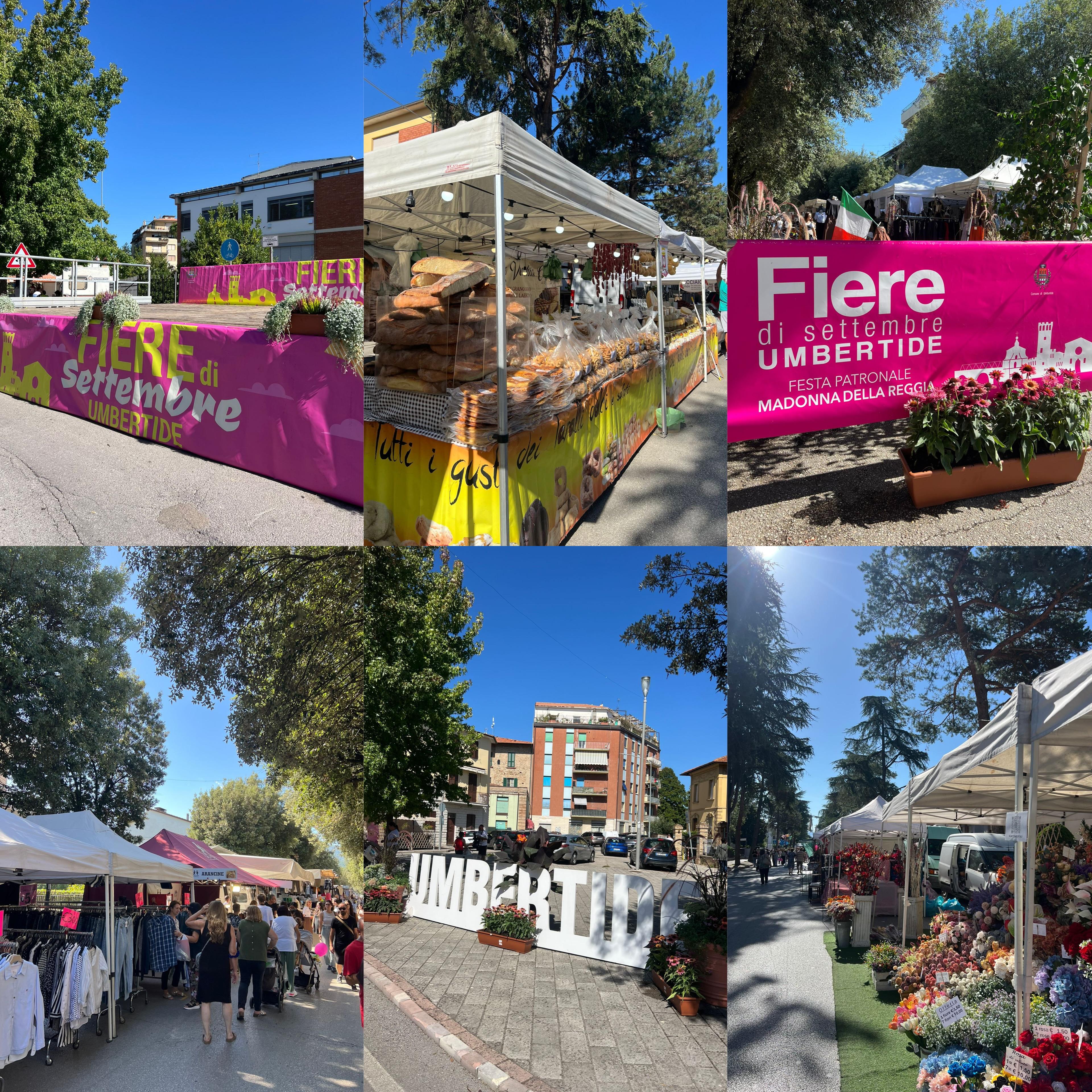 WhatsApp Image 2025-09-05 at 13.45.41