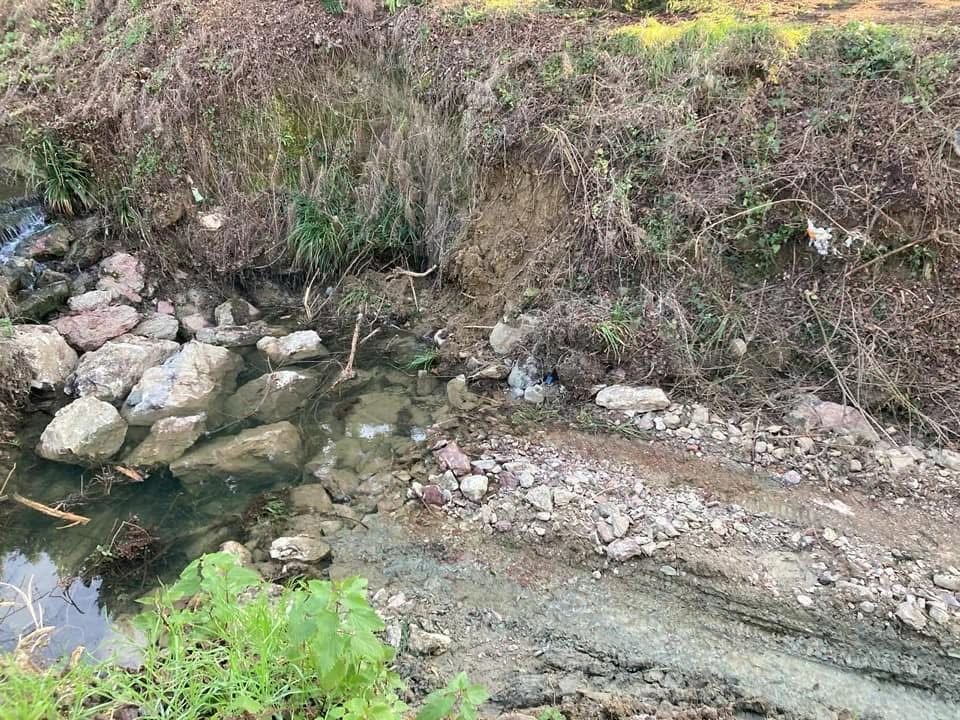 WhatsApp Image 2025-02-18 at 10.36.10 (1)