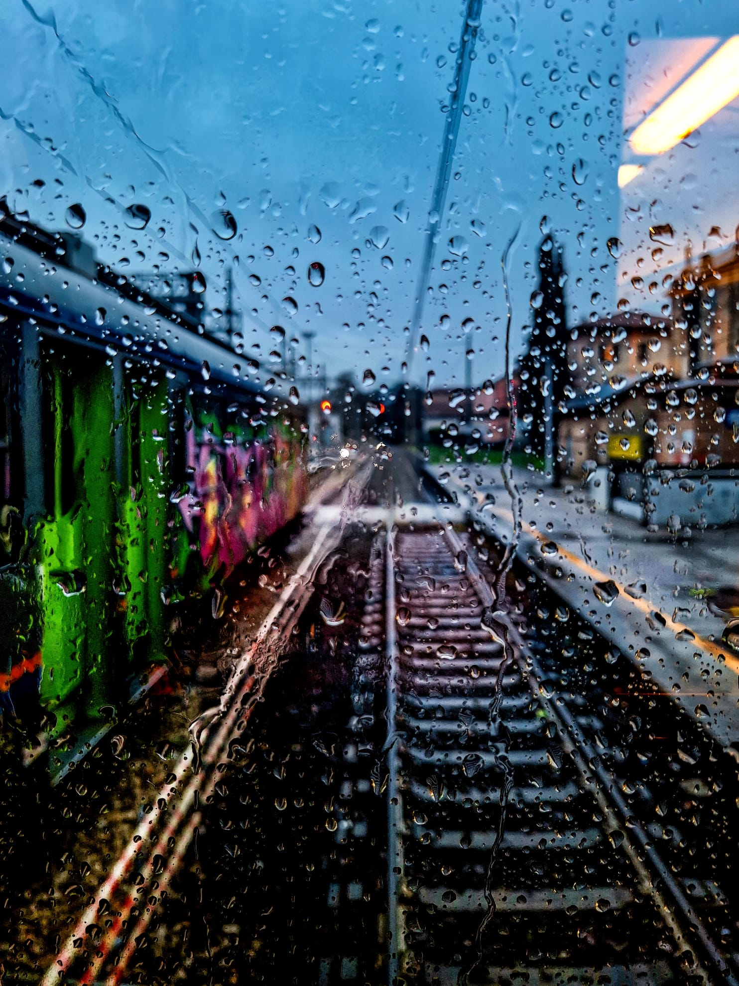 WhatsApp Image 2025-02-15 at 19.46.42