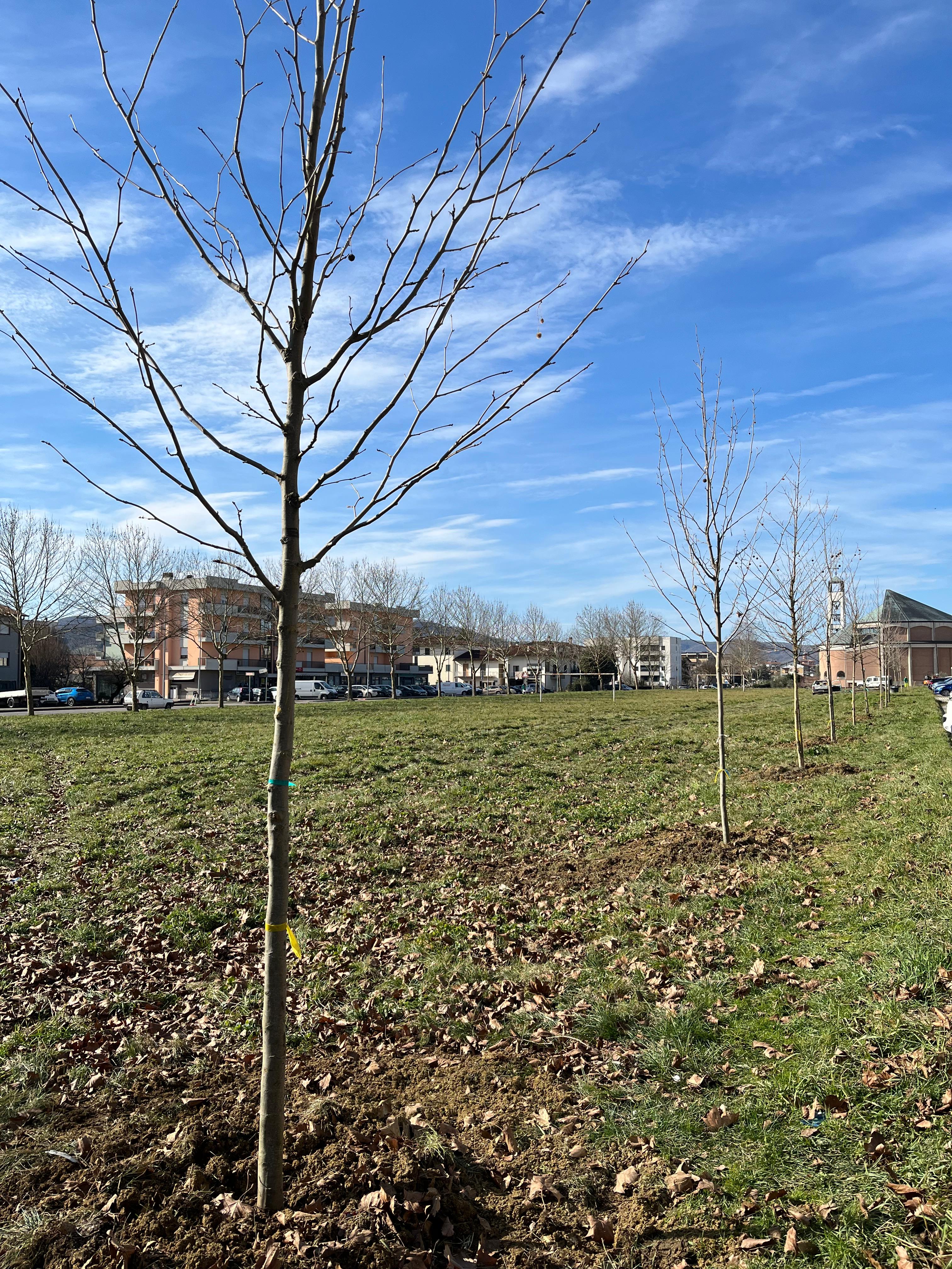 WhatsApp Image 2025-02-07 at 08.58.46