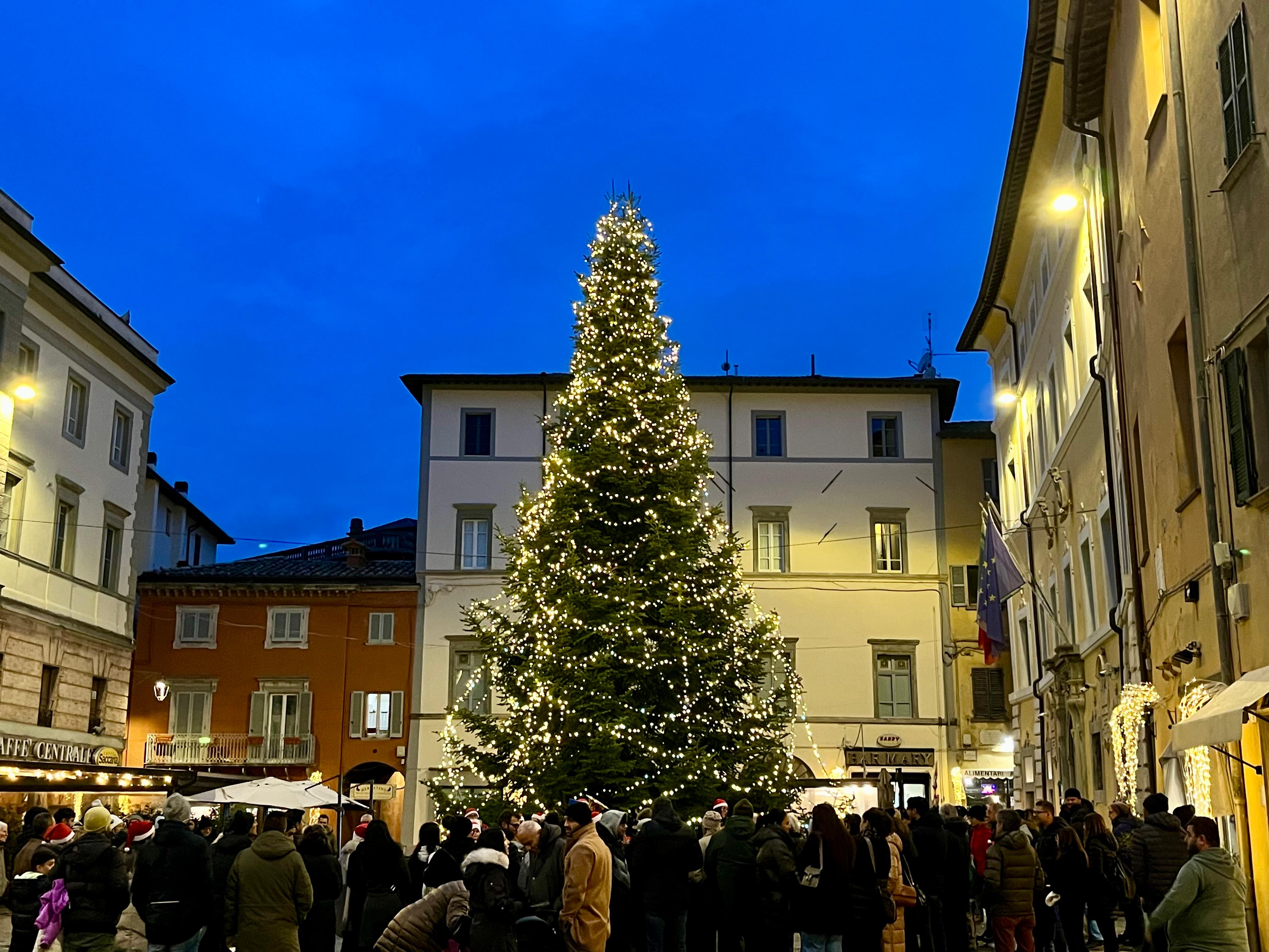 WhatsApp Image 2025-01-03 at 12.35.15