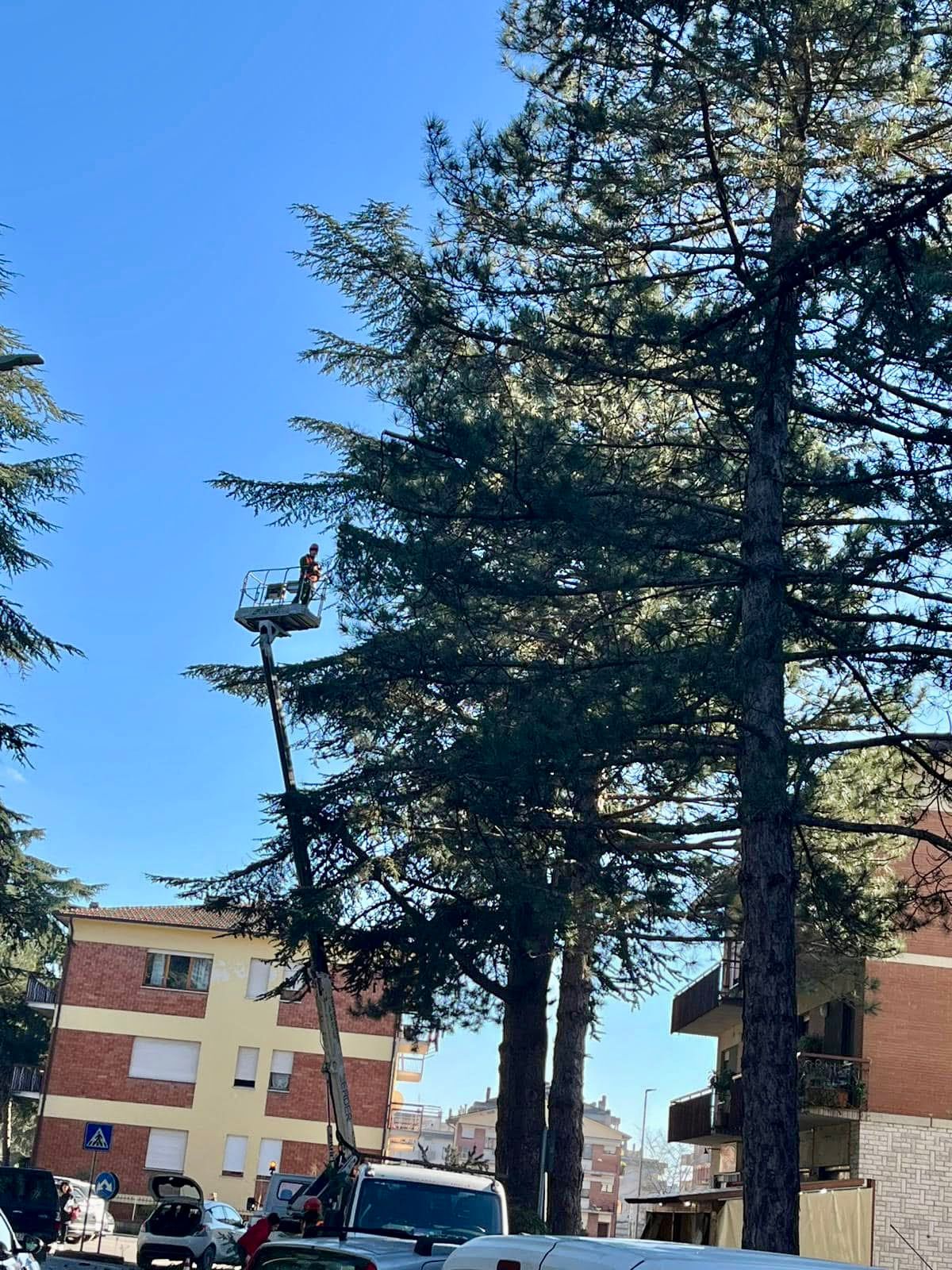 WhatsApp Image 2024-12-13 at 10.02.51