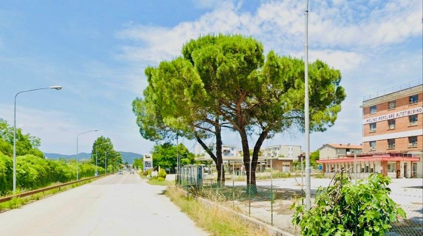 Nuovo senso rotatorio di marcia su via Tiberina 3 Bis e realizzazione della nuova strada che collegherà la rotatoria con via Della Repubblica