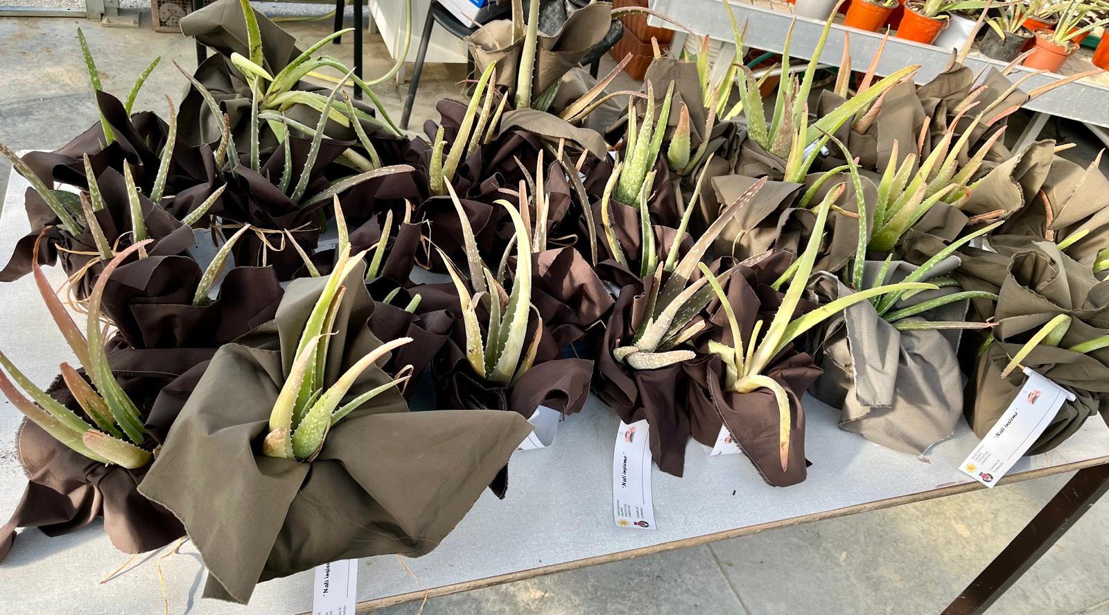 WhatsApp Image 2024-11-23 at 14.46.39