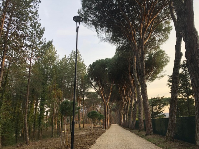 Installate le telecamere di videosorveglianza presso la Pineta Ranieri