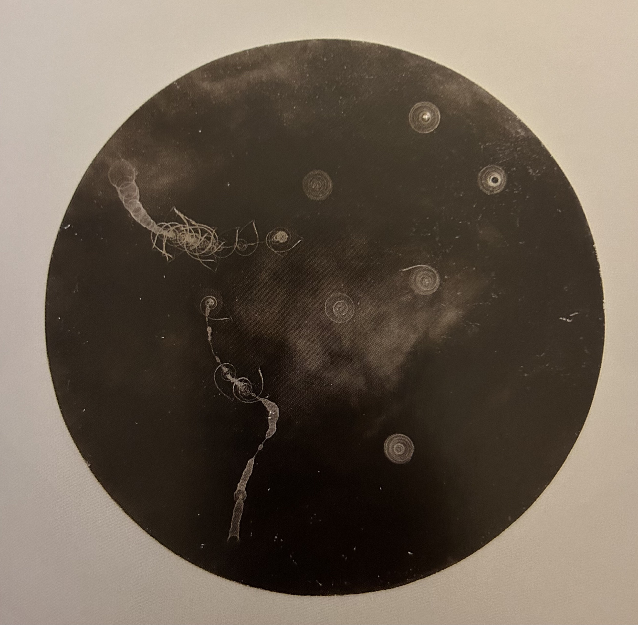 stelle, 1968, tecnica mista, 60 x 60 