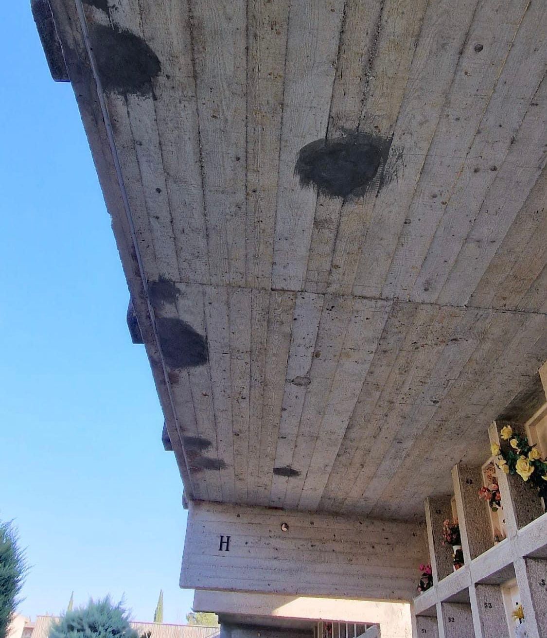 WhatsApp Image 2024-10-24 at 09.35.18