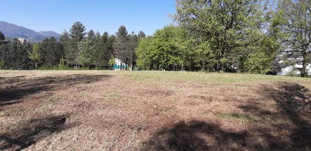 Interventi di manutenzione straordinaria alla Pineta Ranieri in previsione della riapertura