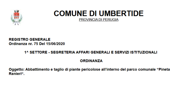 Ordinanza - Abbattimento e taglio di piante pericolose all'interno del parco comunale "Pineta Ranieri"