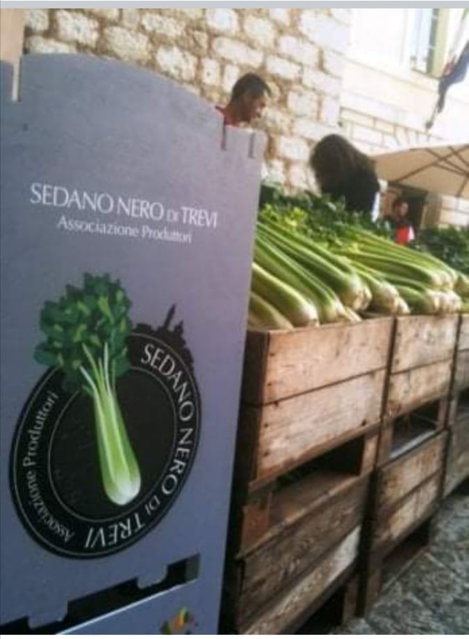 Mercato della Terra in piena sicurezza, sabato 14 novembre in piazza Matteotti l'ospite d'onore è il Sedano Nero di Trevi