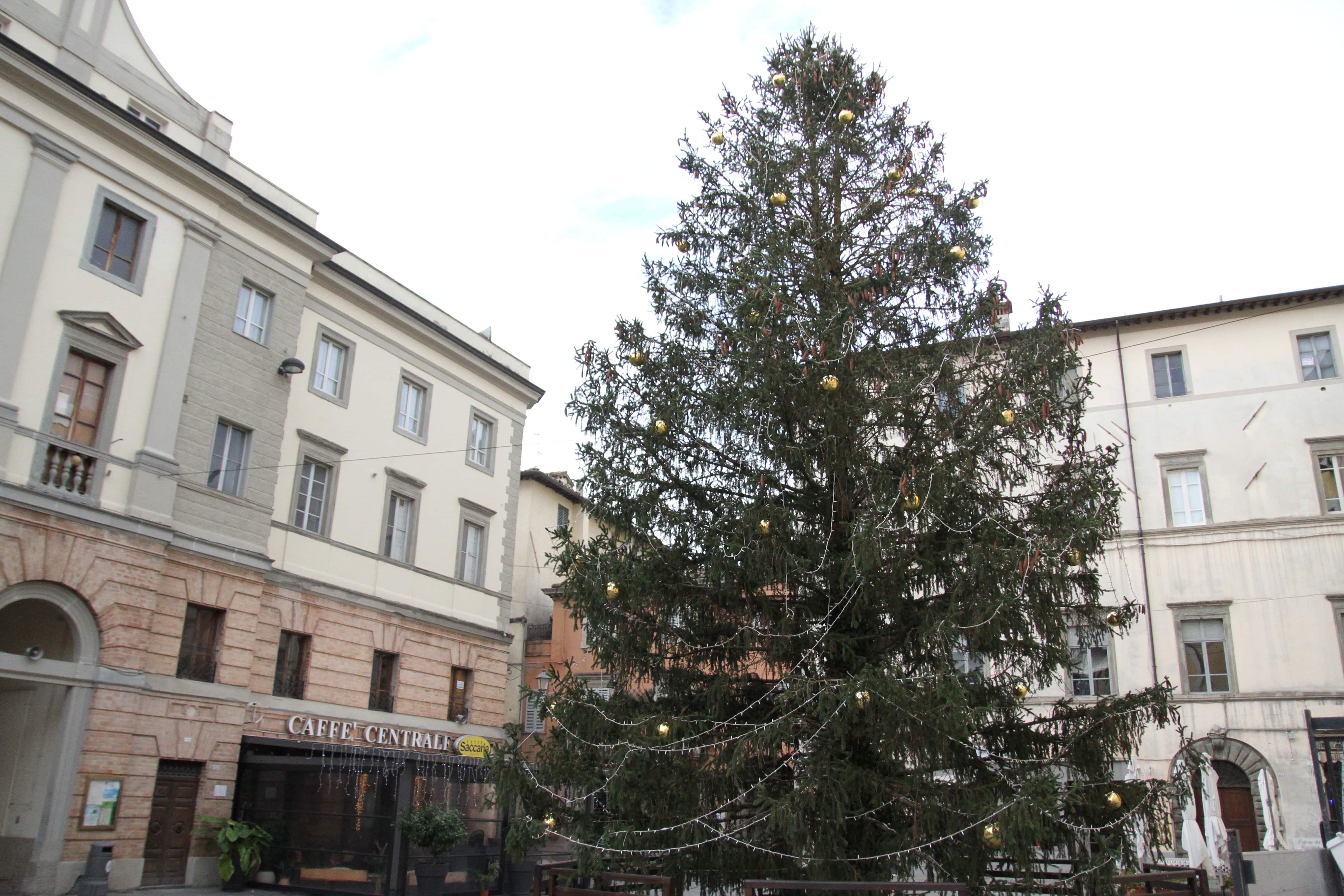 Nel pomeriggio di sabato 5 dicembre si accendono gli Alberi di  Natale di piazza Matteotti e piazza Michelangelo. Rimandato di alcuni giorni l'inizio dello spettacolo di proiezioni in centro storico