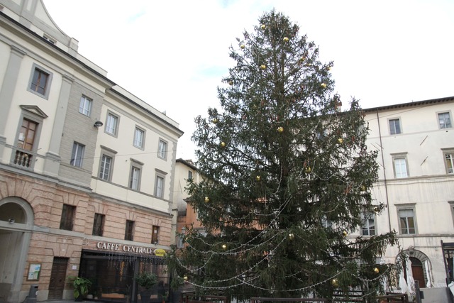 Nel pomeriggio di sabato 5 dicembre si accendono gli Alberi di  Natale di piazza Matteotti e piazza Michelangelo. Rimandato di alcuni giorni l'inizio dello spettacolo di proiezioni in centro storico