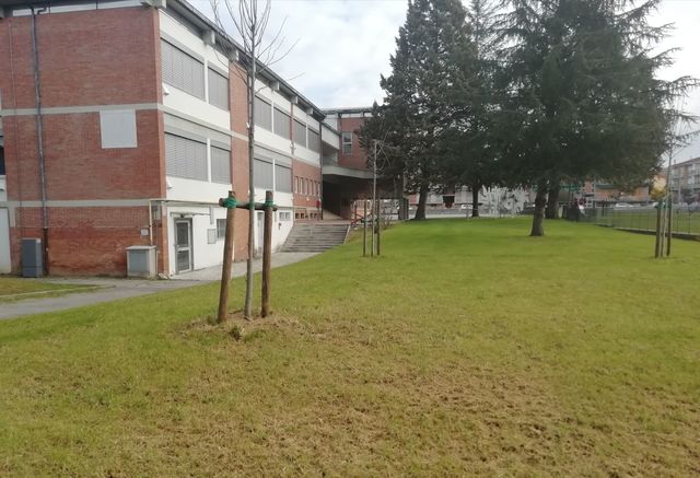 Iniziati nel territorio comunale gli interventi di manutenzione del verde pubblico