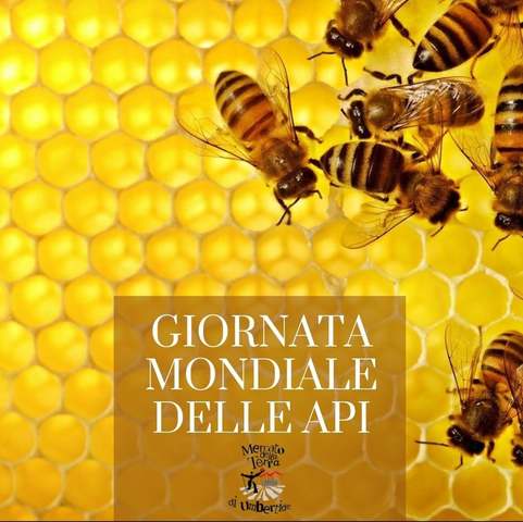 L'importanza delle api e del miele al centro di una iniziativa al Mercato della Terra di sabato 22 maggio